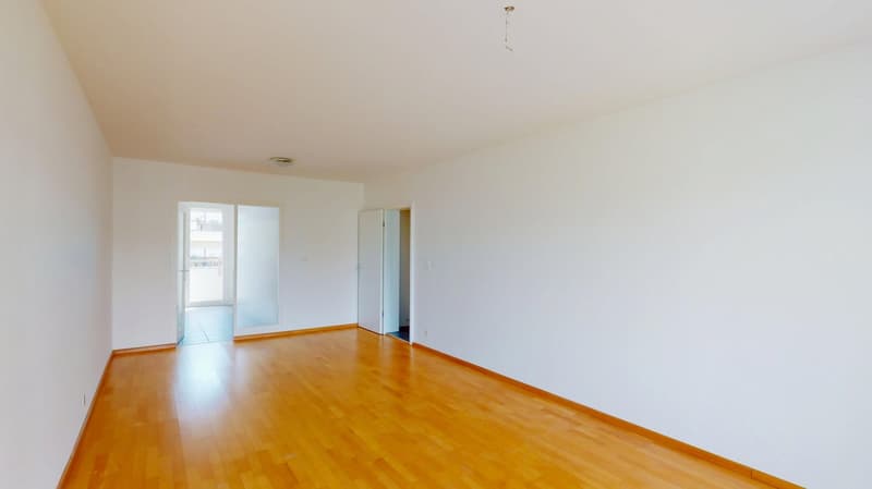 empty room, wooden floor, white walls, glass door, sliding glass door, white ceiling