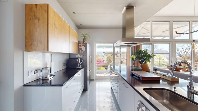 modern kitchen with white cabinets, black countertops, stainless steel appliances, large windows, potted plants, and a view of the outside