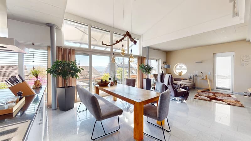 dining room with large windows, wooden table, chairs, plants, rug, kitchen counter with utensils