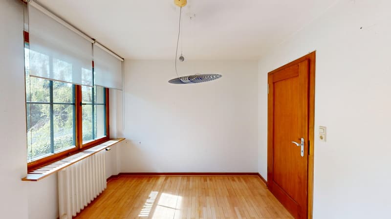 Ampia casa unifamiliare, utilizzabile come abitazione e ufficio con grande terreno, in una zona tranquilla (3)
