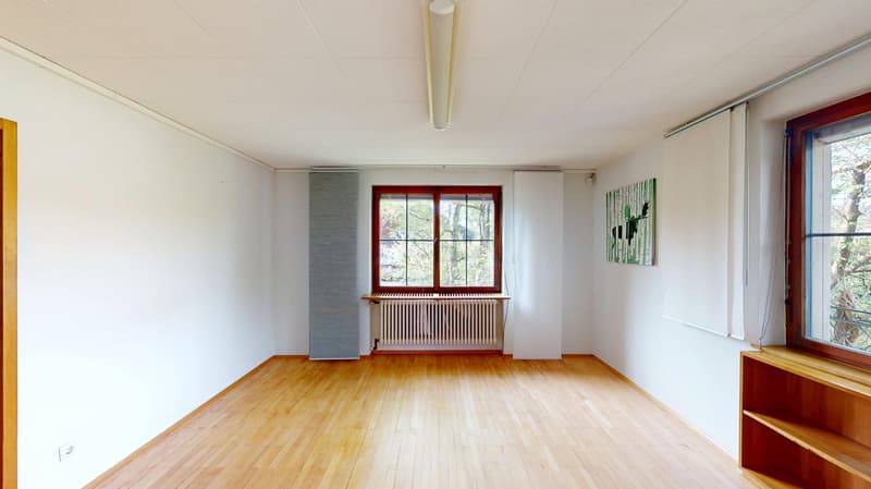 Ampia casa unifamiliare, utilizzabile come abitazione e ufficio con grande terreno, in una zona tranquilla (8)