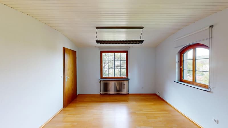Ampia casa unifamiliare, utilizzabile come abitazione e ufficio con grande terreno, in una zona tranquilla (4)