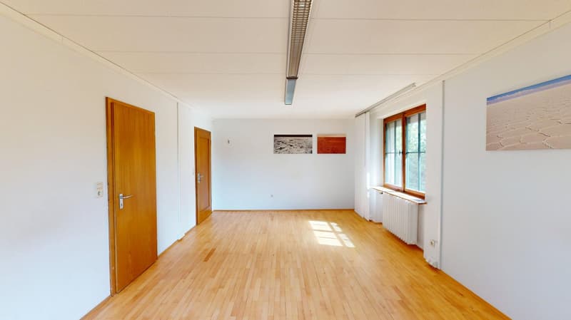 Ampia casa unifamiliare, utilizzabile come abitazione e ufficio con grande terreno, in una zona tranquilla (9)