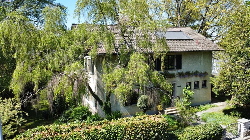 Ampia casa unifamiliare, utilizzabile come abitazione e ufficio con grande terreno, in una zona tranquilla (10)