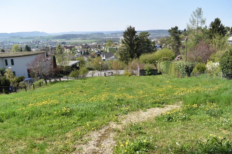 Occasione di terreno edificabile rappresentativo su Sonnenhügel a Dornach, con vista traumhafte inclusa (3)
