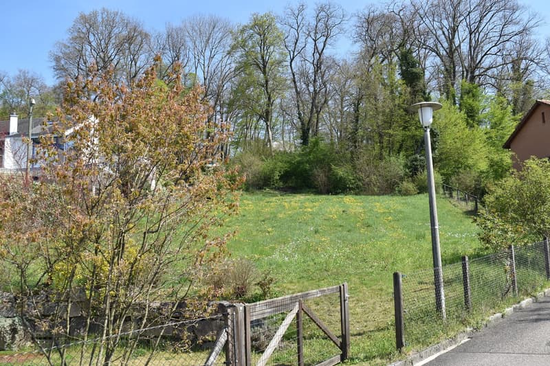 Occasione di terreno edificabile rappresentativo su Sonnenhügel a Dornach, con vista traumhafte inclusa (4)