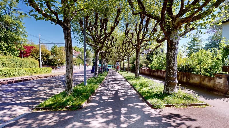 Charming single-family house with idyllic garden paradise in the sought-after Bruderholz quarter (2)