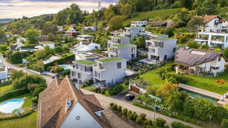 New construction project Biel-Benken-Panorama Single-family house with sustainable wooden construction in a dreamlike location (2)
