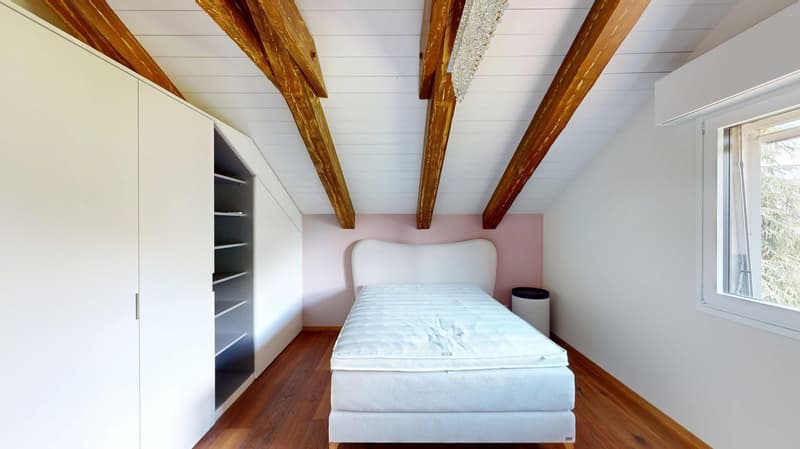 Representative 9-room country house villa with modern indoor pool on Muttenzer Dürrberg (7)