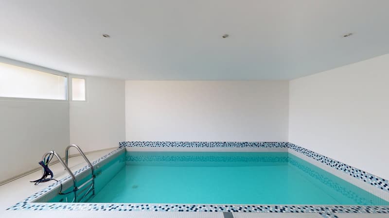Representative 9-room country house villa with modern indoor pool on Muttenzer Dürrberg (12)
