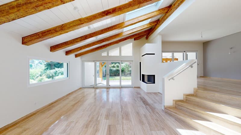 Representative 9-room country house villa with modern indoor pool on Muttenzer Dürrberg (4)