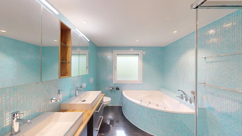 Representative 9-room country house villa with modern indoor pool on Muttenzer Dürrberg (8)