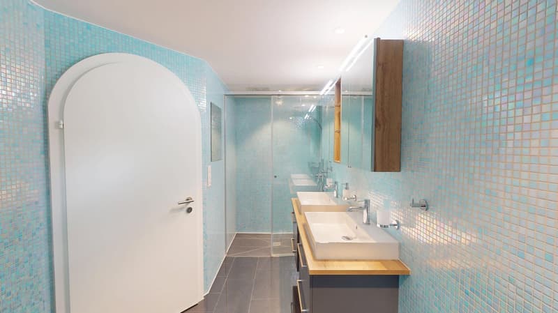 Representative 9-room country house villa with modern indoor pool on Muttenzer Dürrberg (10)