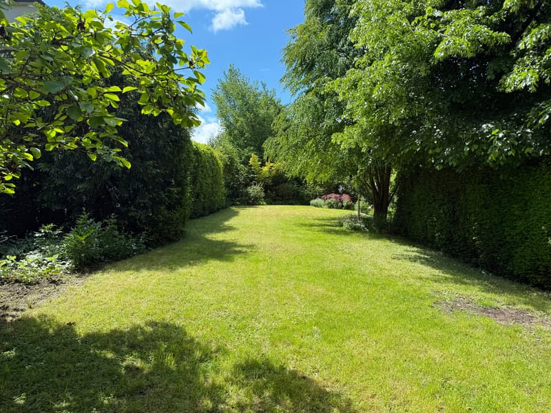Casa di città stilosa di 10 stanze in una posizione privilegiata a Riehen con un giardino spettacolare e un garage (3)