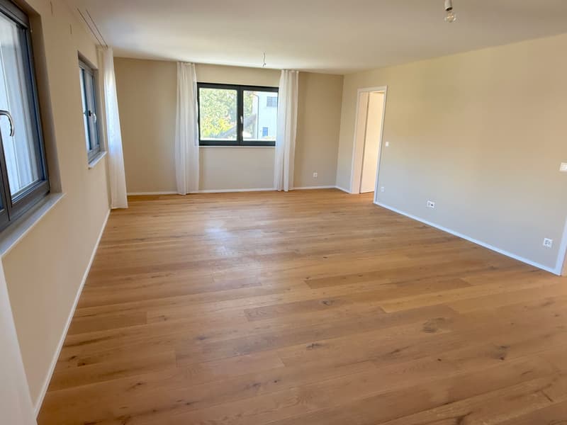Modernes 6-Zimmer-Einfamilienhaus mit Lift, Traumgarten in einem der besten Familienviertel von Dornach (9)