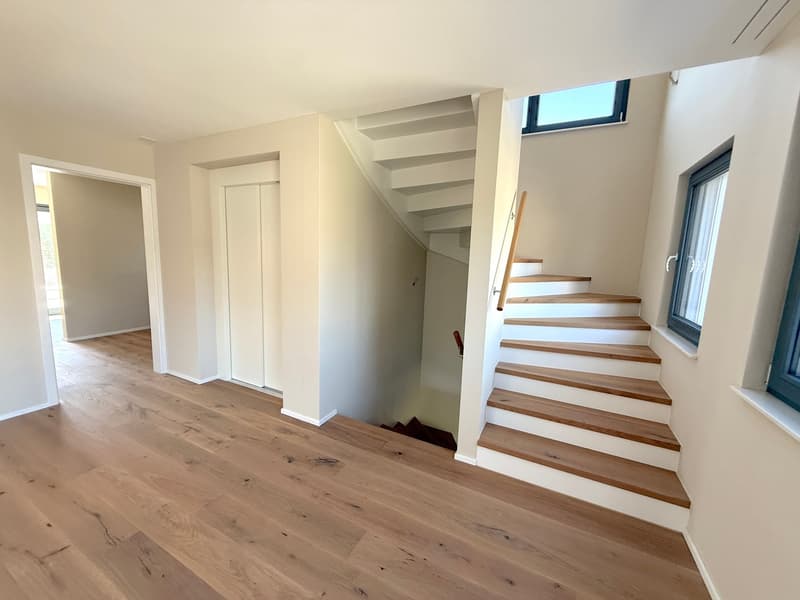 Modernes 6-Zimmer-Einfamilienhaus mit Lift, Traumgarten in einem der besten Familienviertel von Dornach (12)