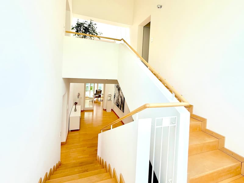 Exklusive Architektenvilla in Panoramalage am Leuselhardt auf Traumgrundstück mit Garage, Wärmepumpe (4)