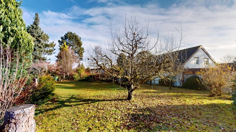 Seltene Gelegenheit am Rosenberg 788 m² Bauland an top Lage (2)