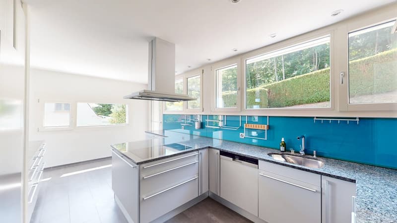 Einzigartige 8,5 Zimmer Split-Level-Villa mit Pool grossem Garten und einem Panoramaausblick (4)