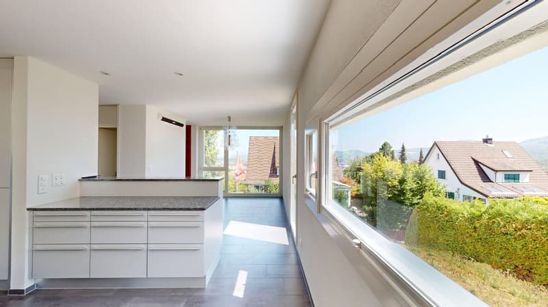Einzigartige 8,5 Zimmer Split-Level-Villa mit Pool grossem Garten und einem Panoramaausblick (5)