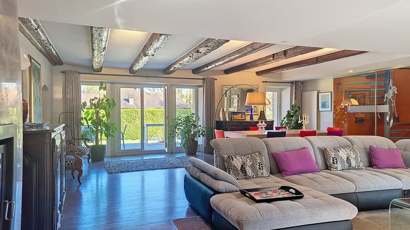 Charmante Villa mit Pool und grossem Garten in Wittersdorf (7)