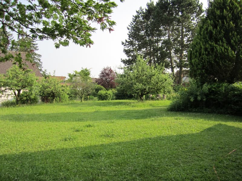 Seltene Gelegenheit am Rosenberg 788 m² Bauland an top Lage (1)