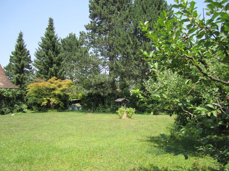 Seltene Gelegenheit am Rosenberg 788 m² Bauland an top Lage (2)