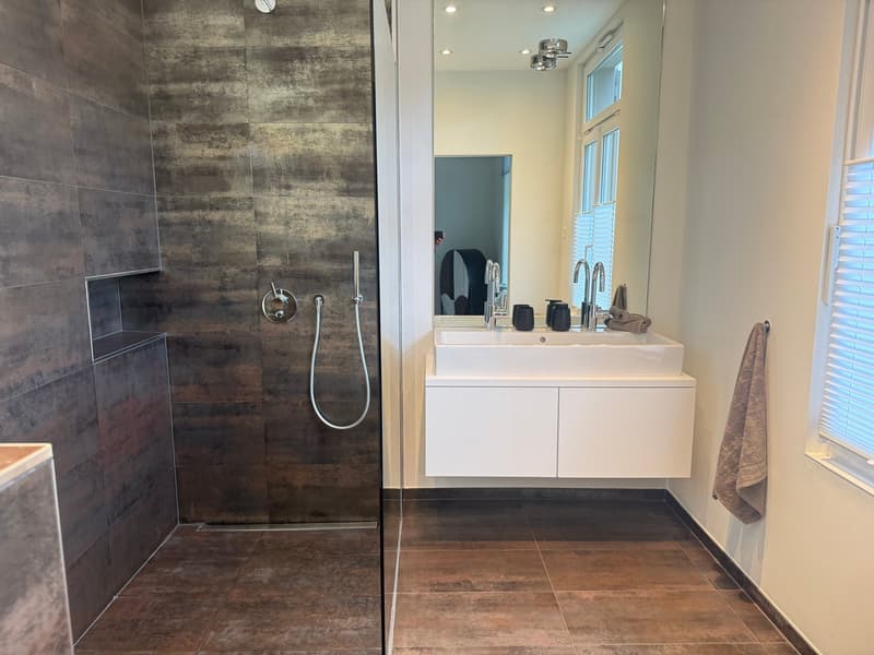 A fully refurbished 10-room townhouse in the Spalen district near the Spalentor and Uni of Basel (10)