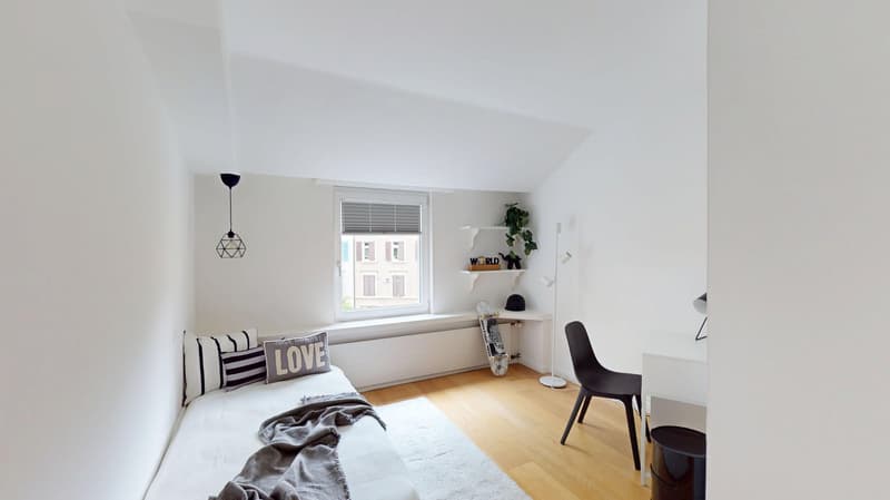 A fully refurbished 10-room townhouse in the Spalen district near the Spalentor and Uni of Basel (13)