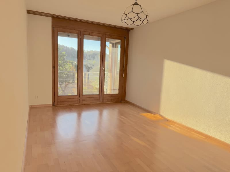 Attraktive 5.5 Zi DHH m. grosszügigem Wohnkonzept u. Garage (7)