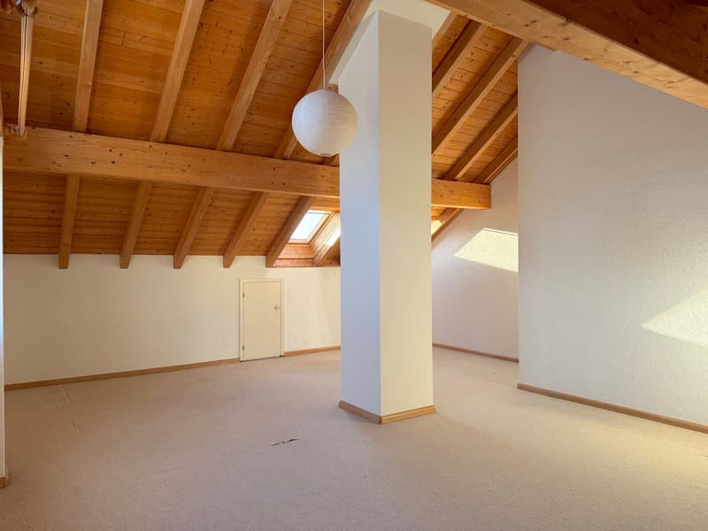 Attraktive 5.5 Zi DHH m. grosszügigem Wohnkonzept u. Garage (11)