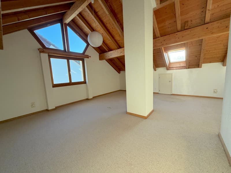Attraktive 5.5 Zi DHH m. grosszügigem Wohnkonzept u. Garage (10)