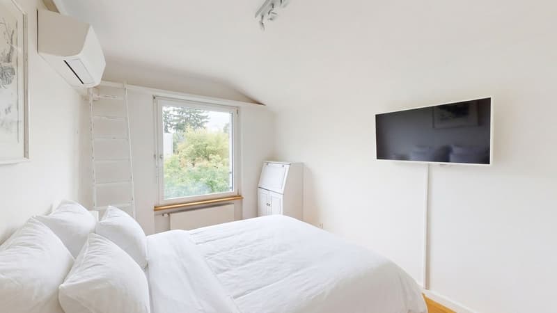 Exklusive 10-Zimmer-Villa mit Pool und eigenem Fitnessraum in Binningen (9)