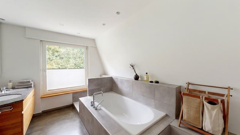 Exklusive 10-Zimmer-Villa mit Pool und eigenem Fitnessraum in Binningen (7)