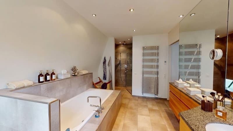 Exklusive 10-Zimmer-Villa mit Pool und eigenem Fitnessraum in Binningen (6)