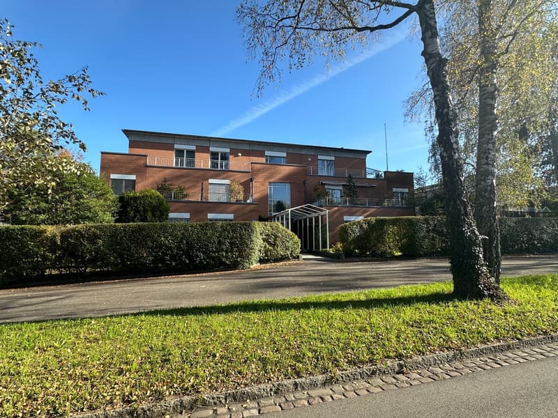 BS : 4.5 Zi. Gartenwohnung an ruhiger Lage auf dem Bruderholz (1)