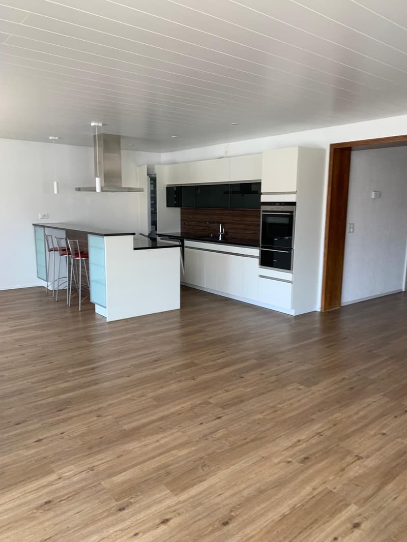 Gioiello residenziale esclusivo: Appartamento moderno spazioso con terrazza & angolo camino (2)