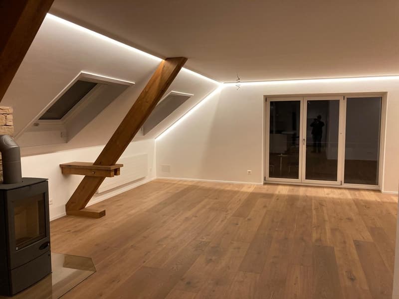 Grosse 3 1/2- Zimmer Traumwohnung sucht neue Bewohner/innen (4)