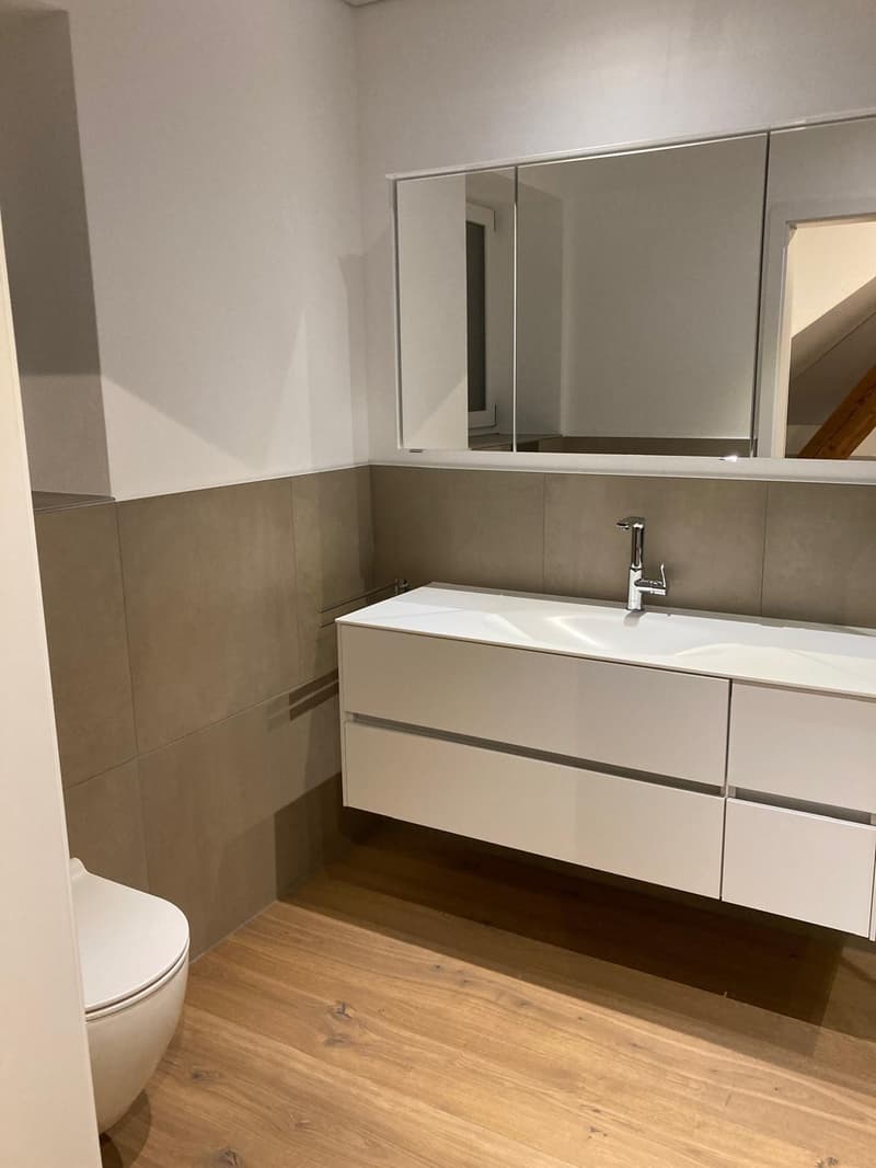 Grosse 3 1/2- Zimmer Traumwohnung sucht neue Bewohner/innen (5)