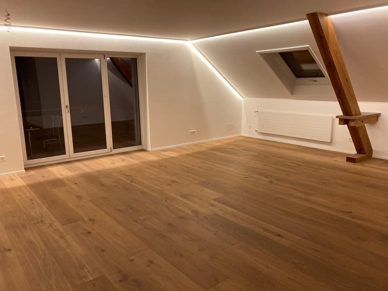 Grosse 3 1/2- Zimmer Traumwohnung sucht neue Bewohner/innen (3)