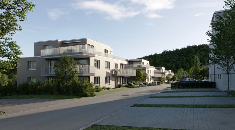 Erstvermietung: Neubau 5.5 Zimmer Attikawohnung der Mieter-Baugenossenschaft Basel (1)