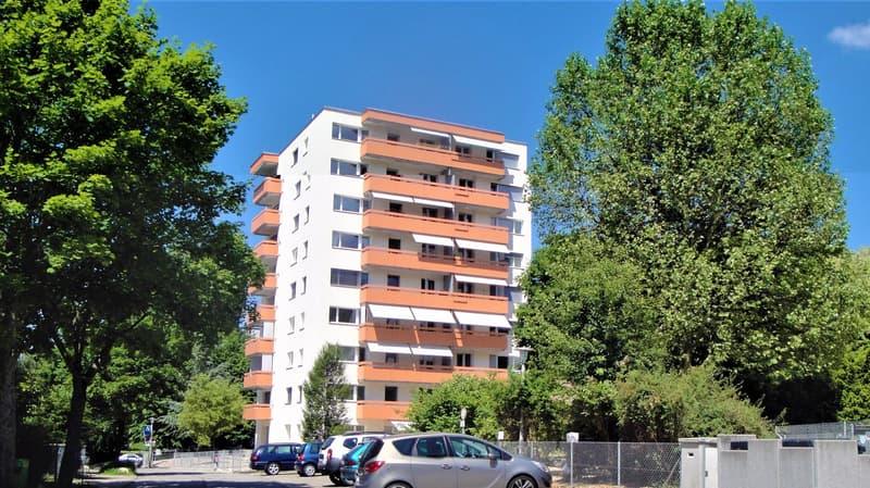 Outdoor parking space for rent in Dornach (1)
