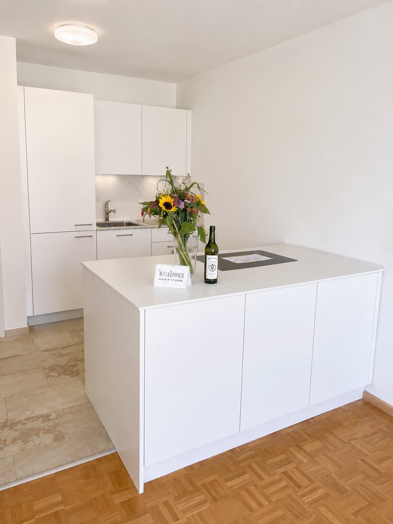 Appartement de 3,5 pièces rénové de première classe à Basel-St. Johann (2)
