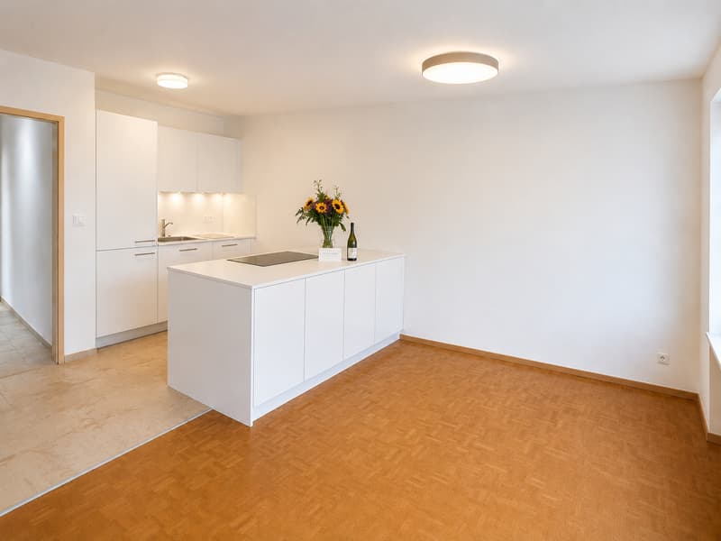 Appartement de 3,5 pièces rénové de première classe à Basel-St. Johann (1)