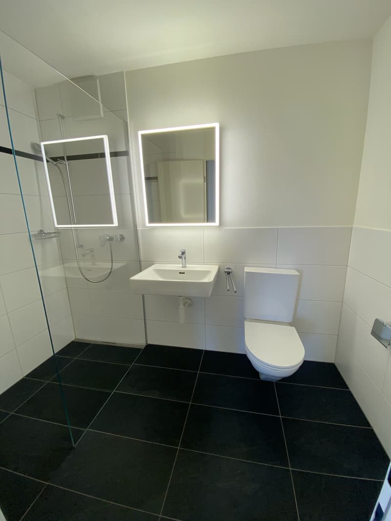Bright 3.5-room apartment in Binningen with balcony (3)