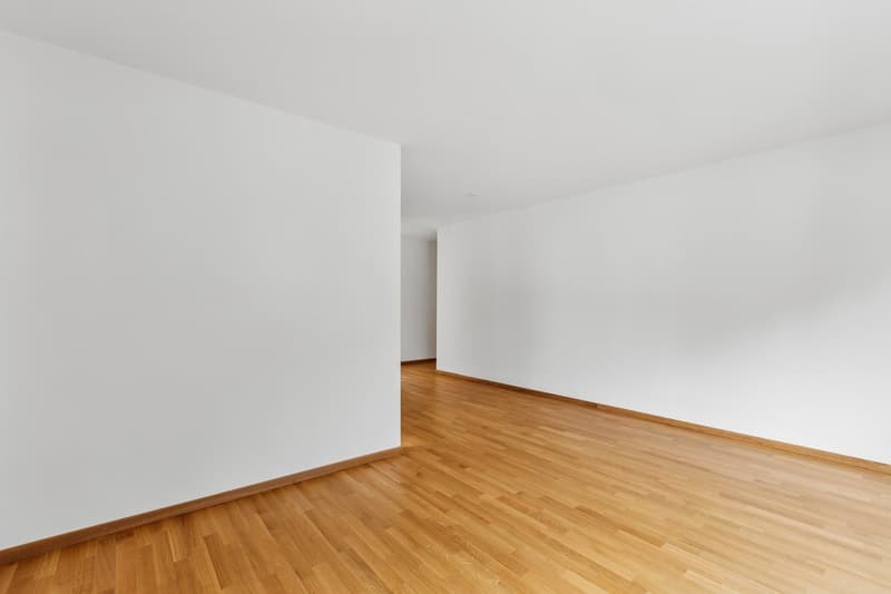 Beautiful 3-room apartment with two balconies (4)