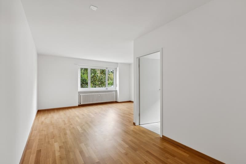 Beautiful 3-room apartment with two balconies (1)