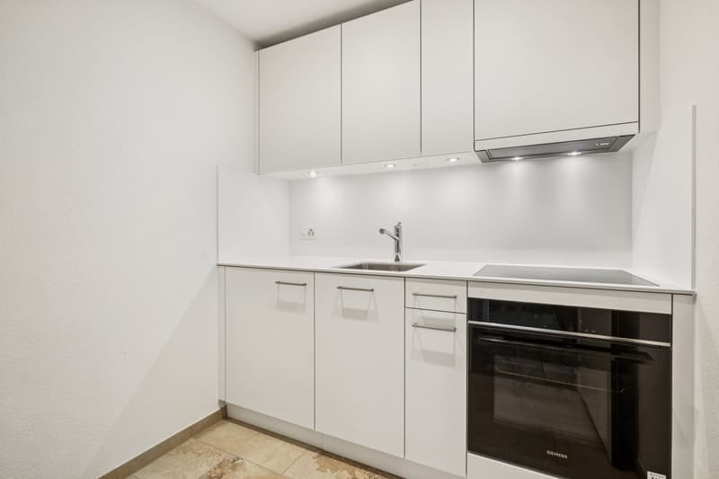 Sanierte 1.5-Zimmer-Wohnung an der Holbeinstrasse in Basel (2)