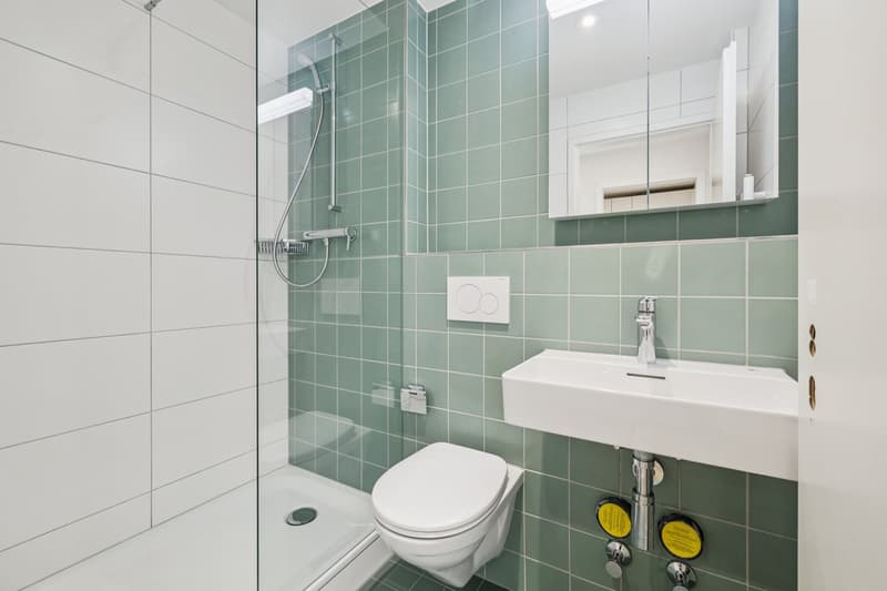 Sanierte 1.5-Zimmer-Wohnung an der Holbeinstrasse in Basel (1)