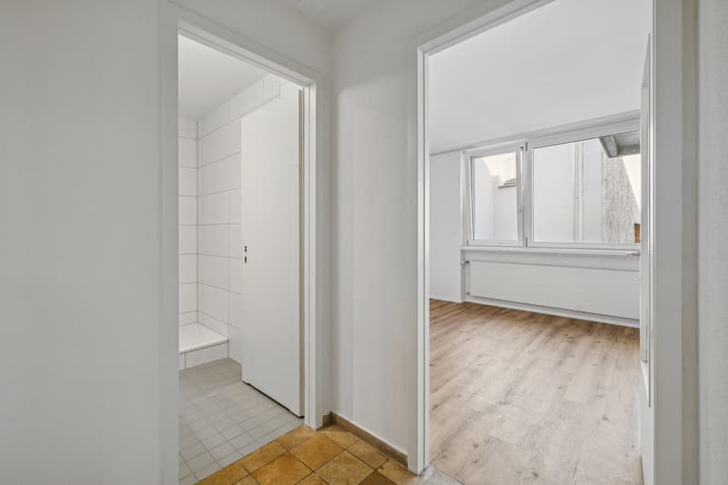 Sanierte 1.5-Zimmer-Wohnung mit Balkon an der Holbeinstrasse in Basel (3)